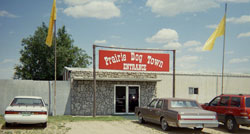 "prairie dog town", central kansas